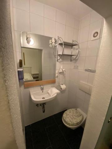 Hotel Wildschuetz Basic Altmünster Exteriör bild